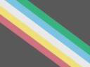 disability_flag